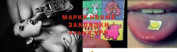 бошки Бородино